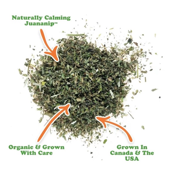 Doggijuana Donut Tuffer Chewer Toy - Picture 4 of 12